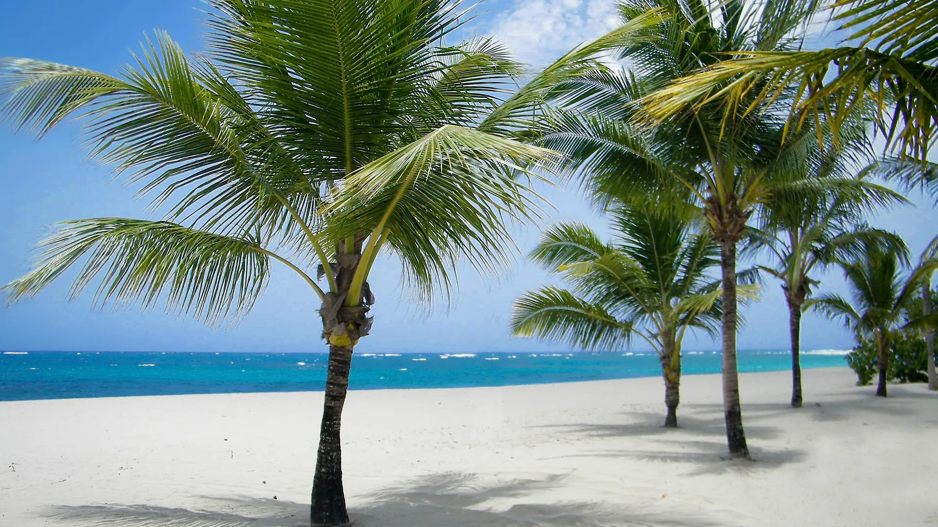 Semesteranläggning (resort) Viva Heavens By Wyndham, A Trademark All Inclusive (Adults Only) Puerto Plata