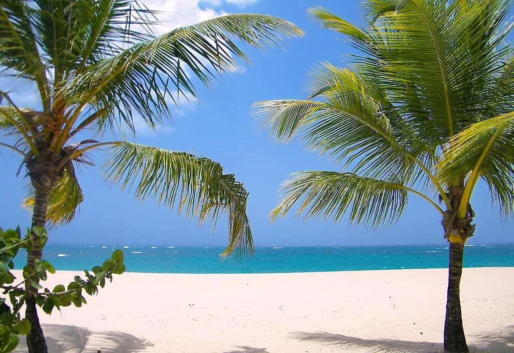 **** Semesteranläggning (resort) Viva Heavens By Wyndham, A Trademark All Inclusive (Adults Only) Puerto Plata Dominikanska republiken